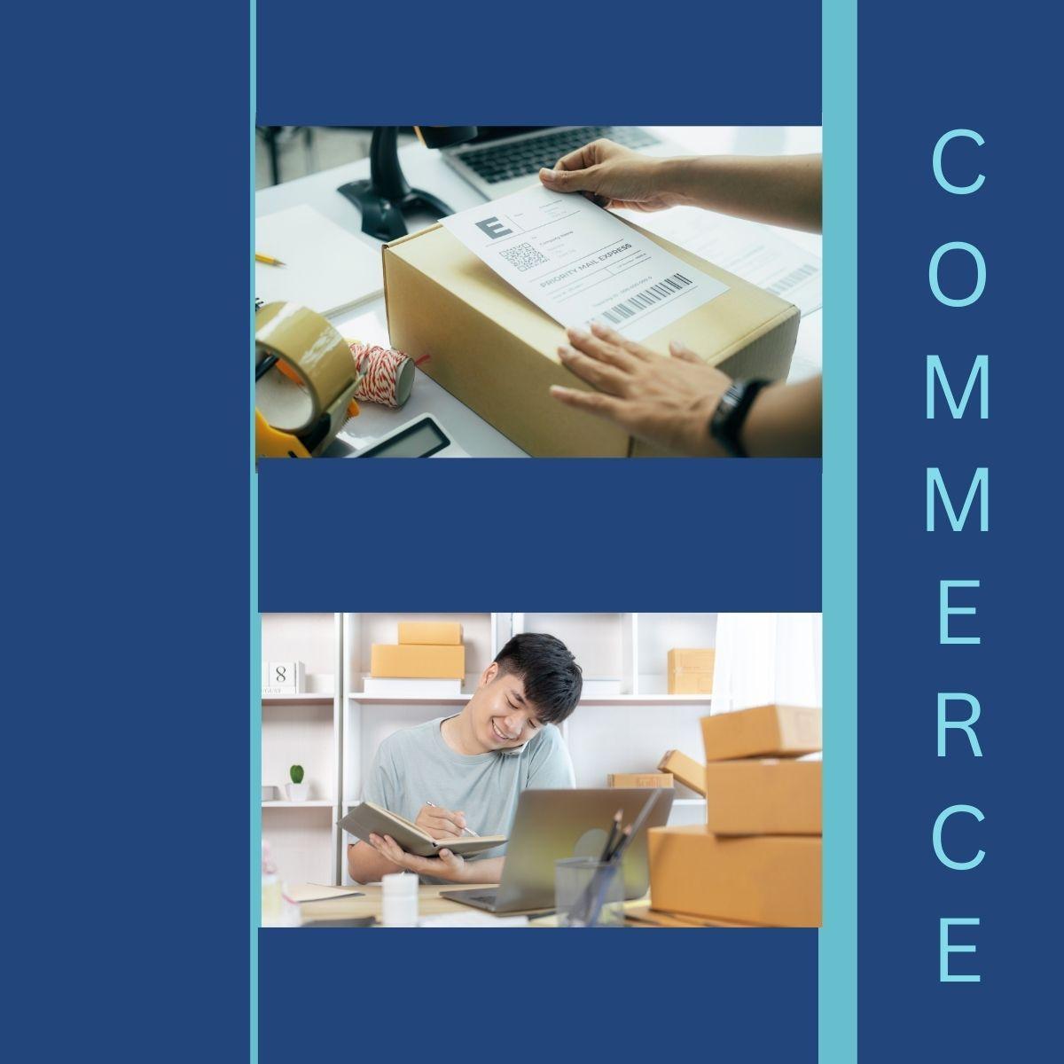 MSME Online - E commerce Checkpoint